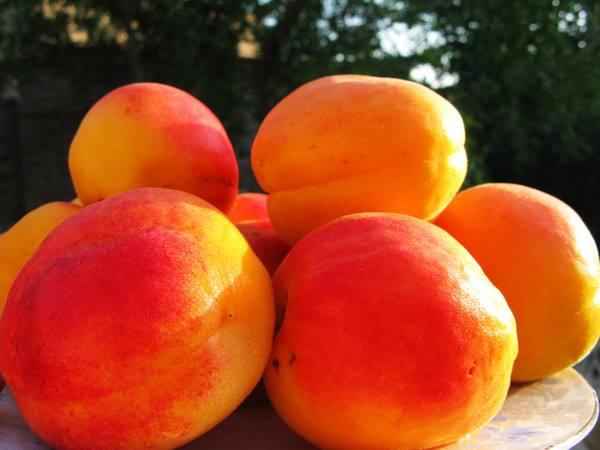 甘肃的什么地方的水果最好吃,甘肃的特色水果是什么