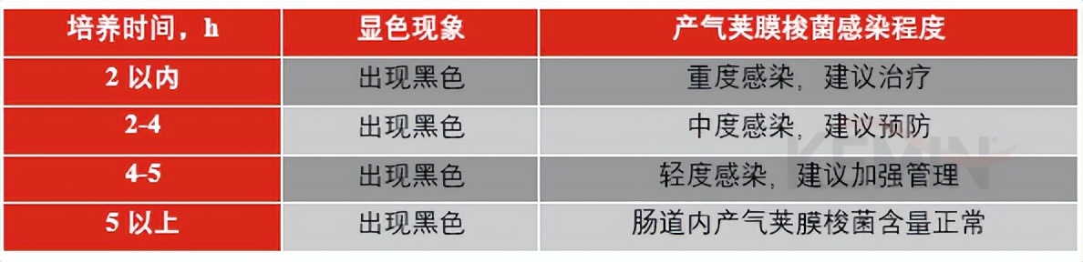 蛋鸡葡萄球菌感染症状,产气荚膜梭菌的感染条件