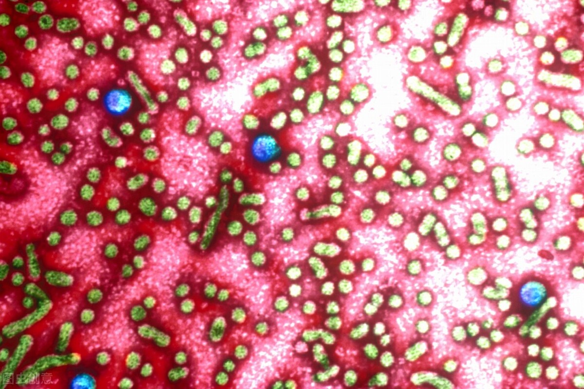 有慢性肝炎的人最大寿命能是多少,一旦得了肝炎是不是必死