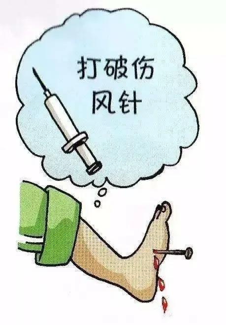 药店的甲硝唑一般价格是多少,甲硝唑便宜又实用都能搞定哪些病