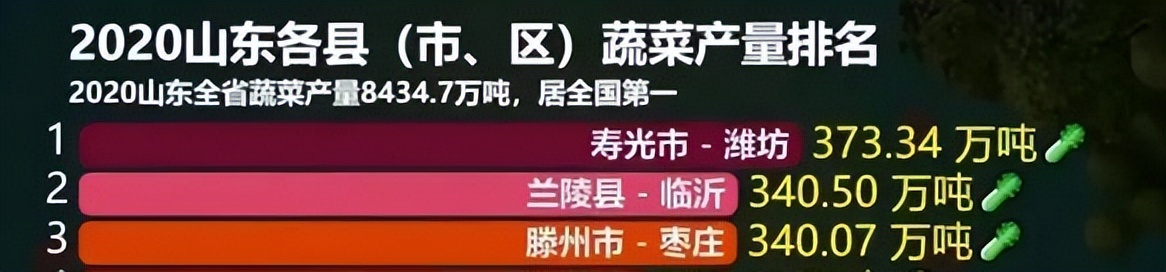 中国第一的农业大省,中国蔬菜大省山东