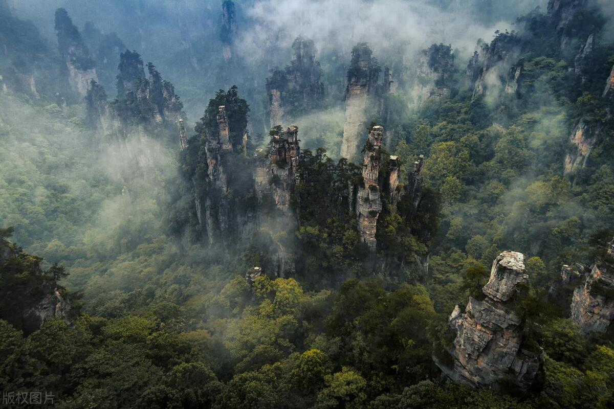 小满节气诗视频,小满节气诗歌大全