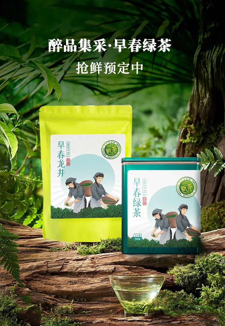 春茶关键词是什么,拓宽春茶销售渠道