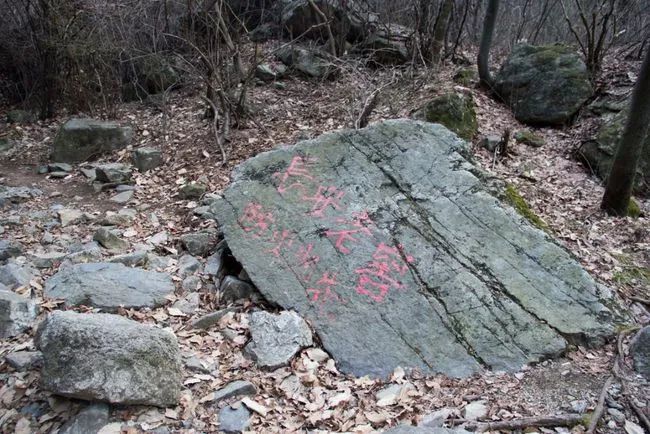 冬天寻访秦岭大峪，不但还有古道遗迹可循，还能见到这条野生广告