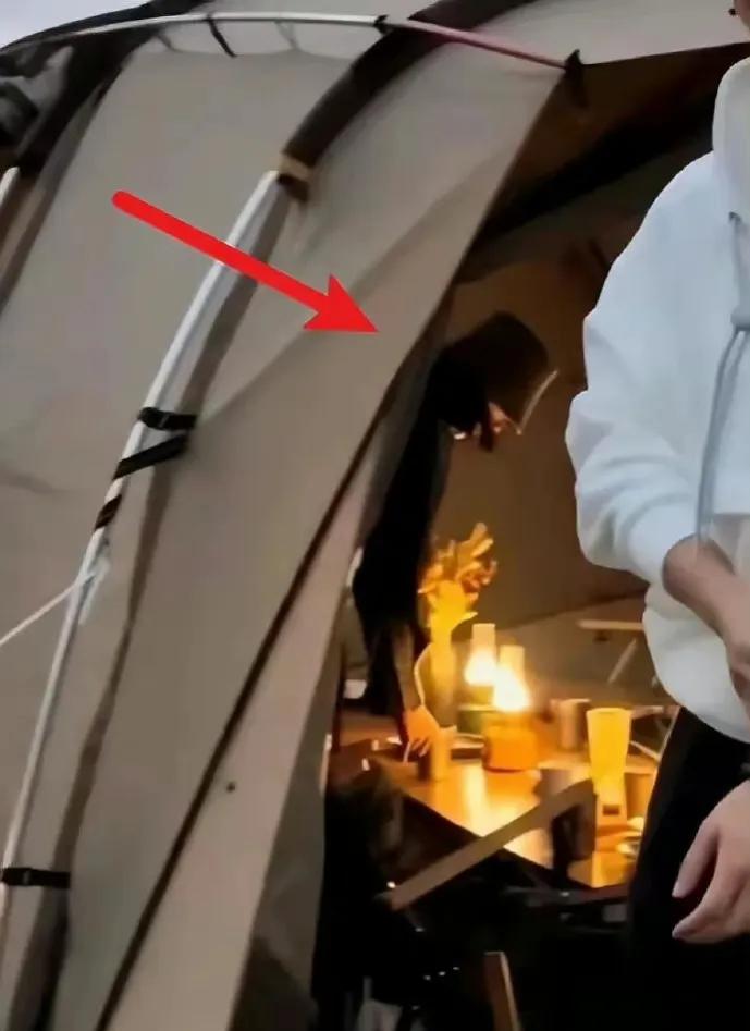 黄晓明叶柯照片,叶柯黄晓明看画展