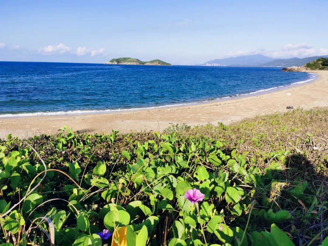 海南万宁深潜推荐,海南万宁潜水俱乐部