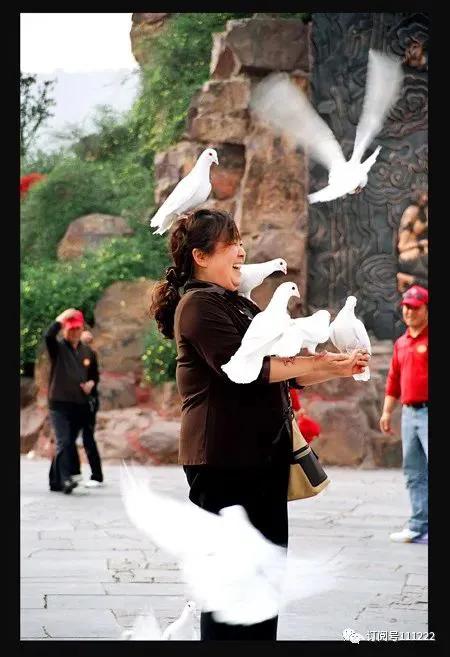 2023年绿汀文学社第十六期总第一百零一期同题诗词联