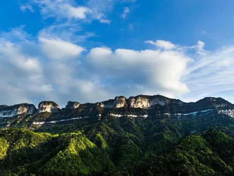碧峰峡自然遗产大熊猫栖息地,世界自然遗产中国大熊猫栖息地