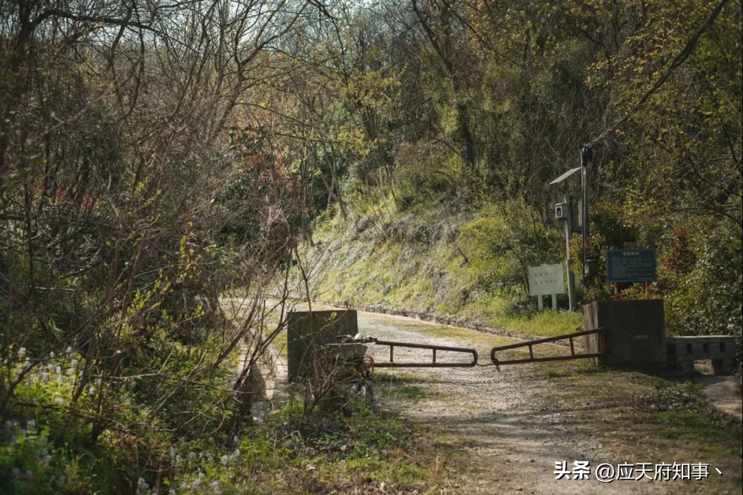 南京燕子矶滨江公园,南京燕子矶是哪个区