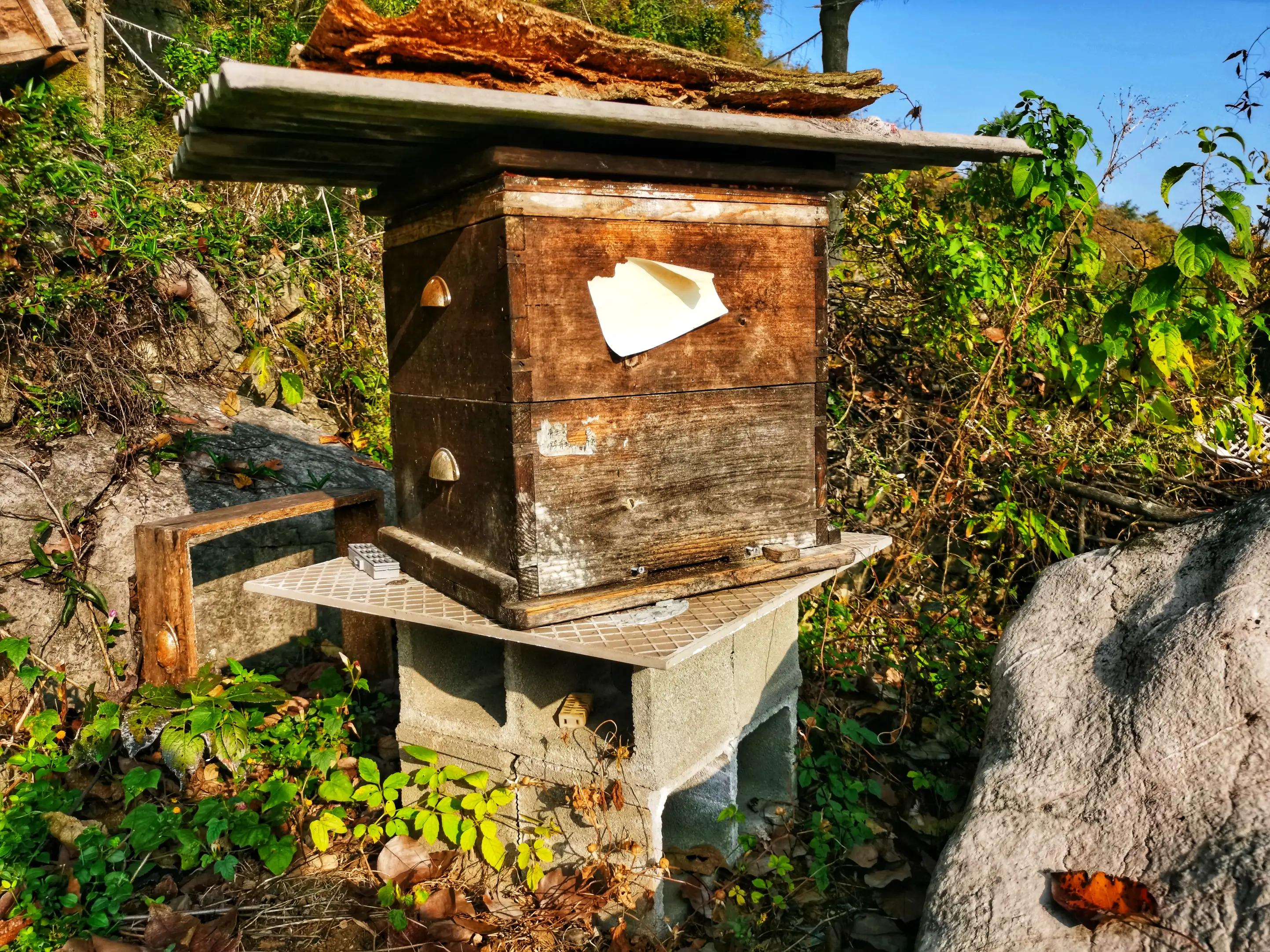 蜜蜂嗡嗡*花采**忙秋风送爽带蜜香，甜蜜事业甜蜜歌，蜜蜂酿蜜乐山乡