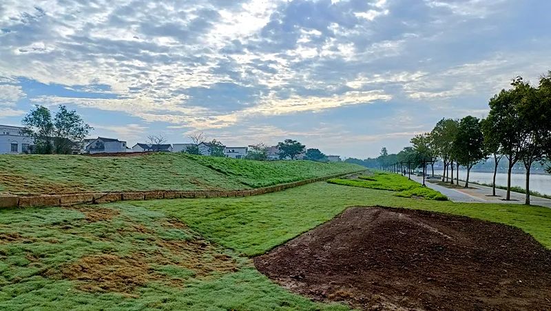 2022淮阳荷花节结束时间,看淮阳荷花节