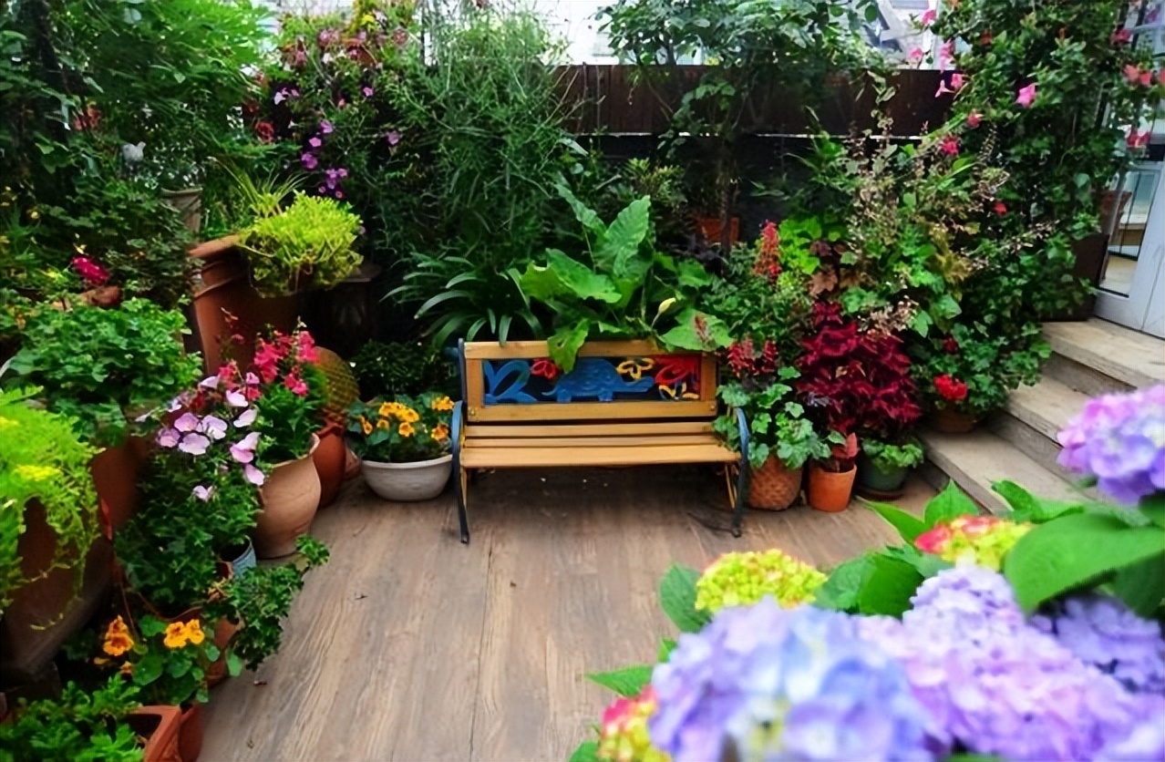 老年人就喜欢花花草草,老年花花草草