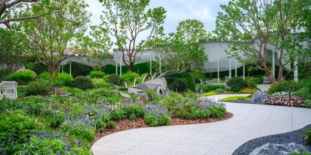 那些被我们忽略的风景,球球景观