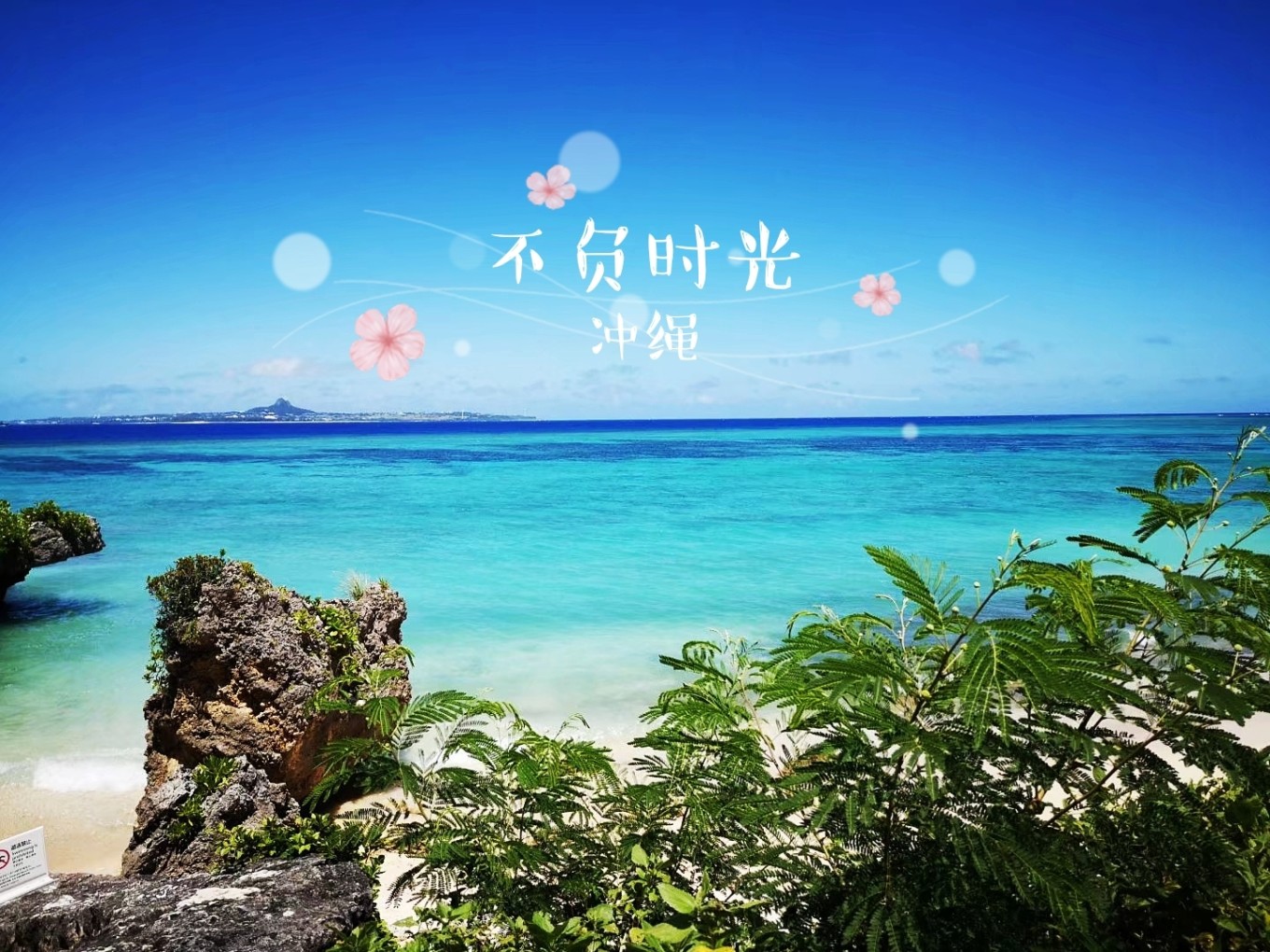 暑期档2019年,2019年暑期档