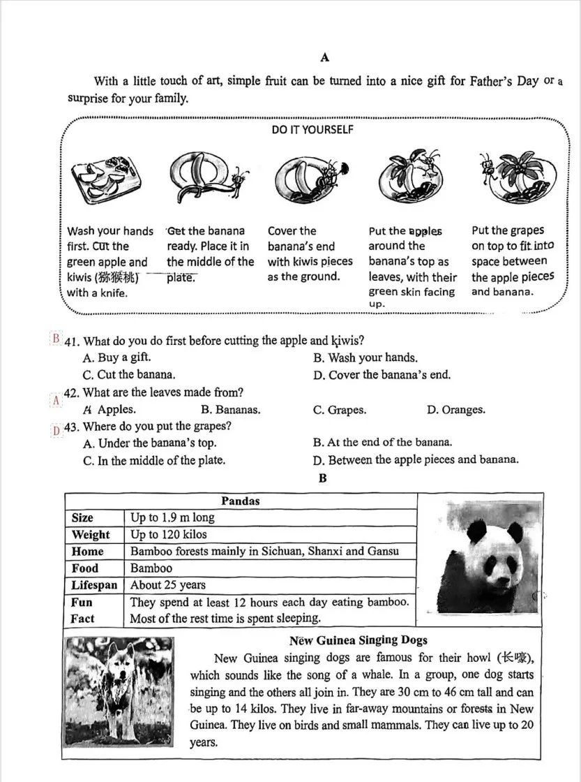 重庆2023年中考英语B卷听力原文,重庆市2021年英语试卷