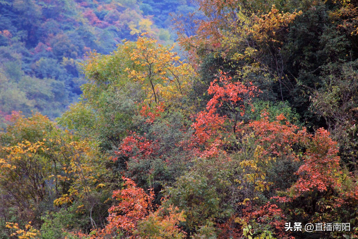 南召宝天曼旅游视频,南召宝天曼隧道