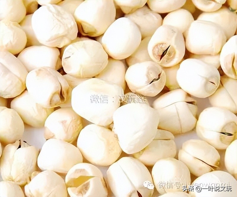 这玩意儿15元一斤，改成手串后要申遗？！太TM离谱了吧？