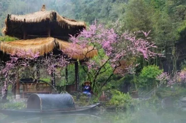 桃花源里看桃花风景优美,再游桃花源美景