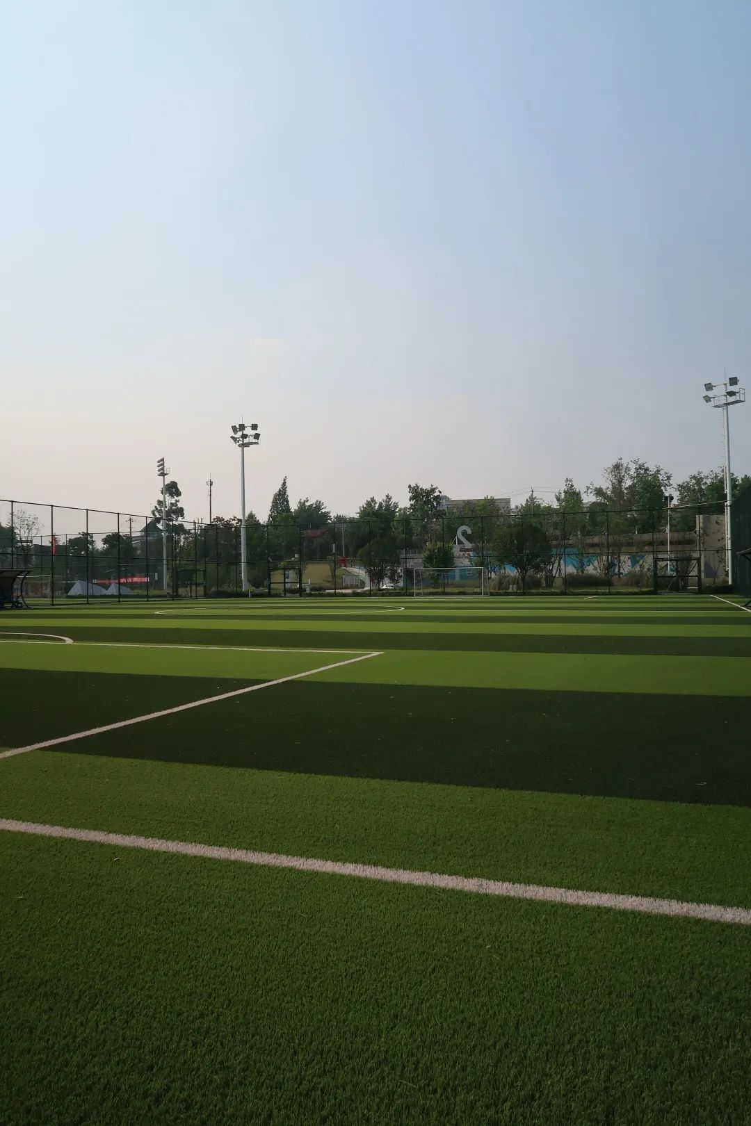 收藏乒乓球推荐,收藏价值高羽毛球拍