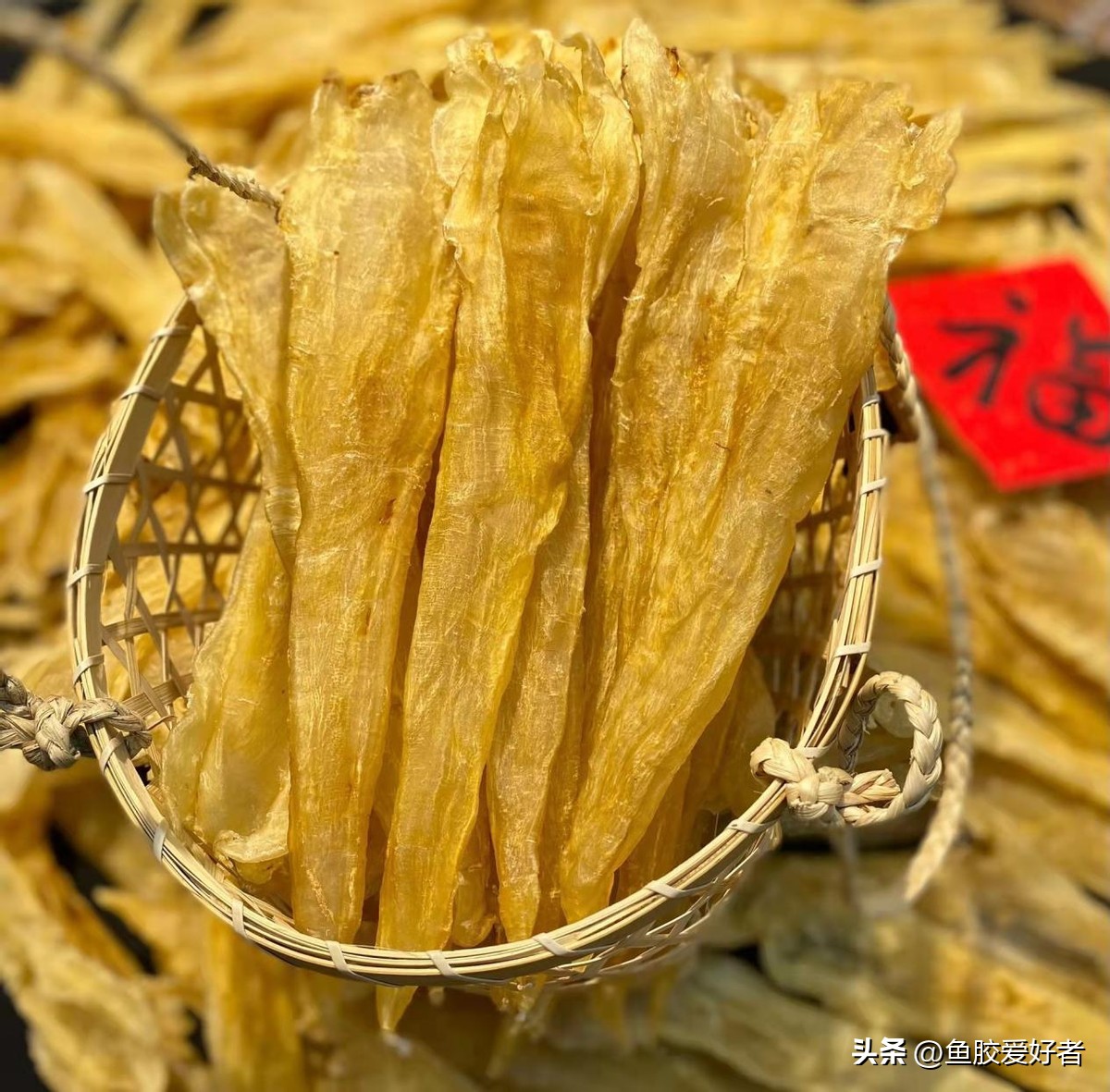 买什么鱼胶比较划算,1000元左右哪种鱼胶最好