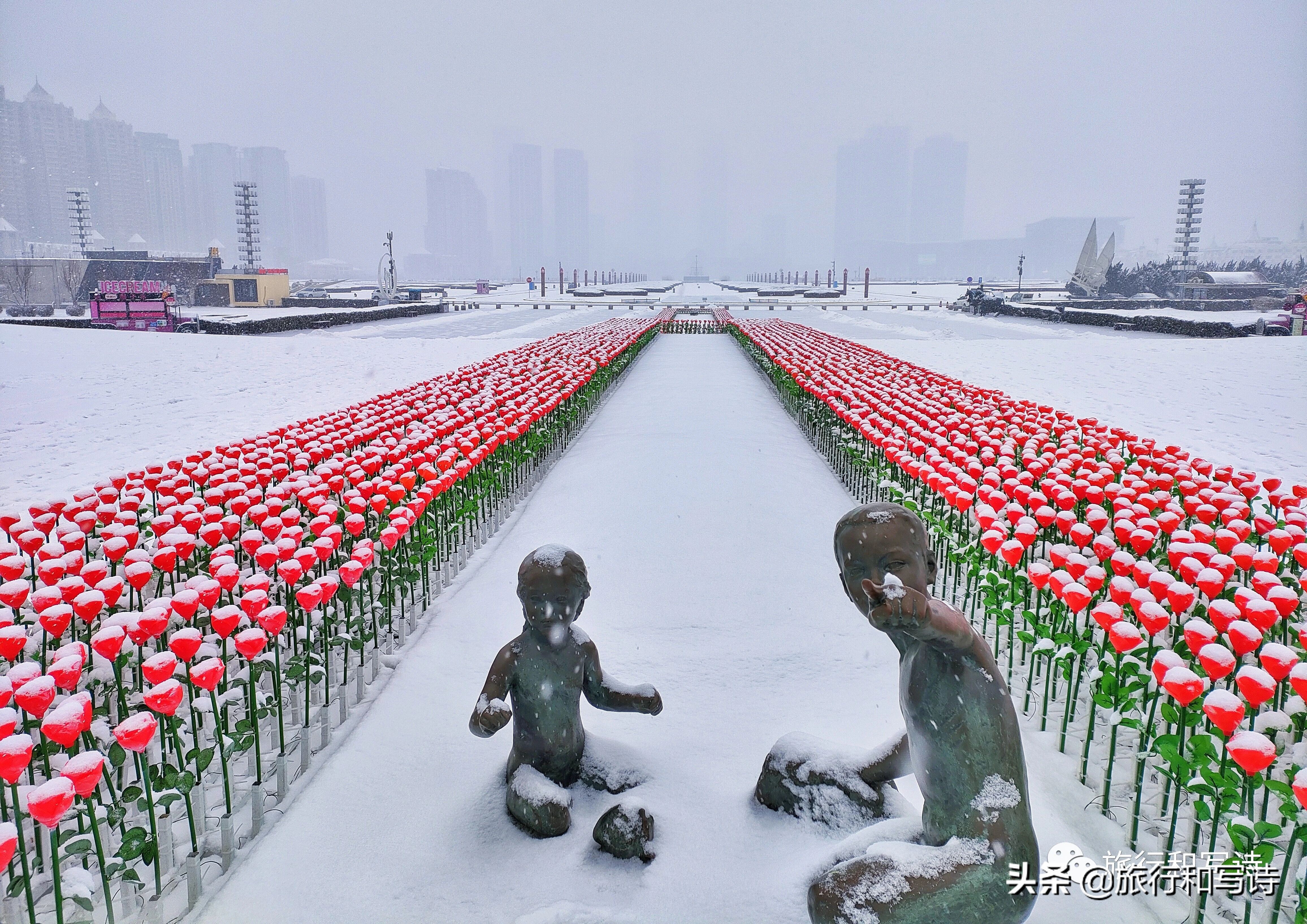 大连滨海路的美景之旅,大连值得打卡的热门地点滨海路