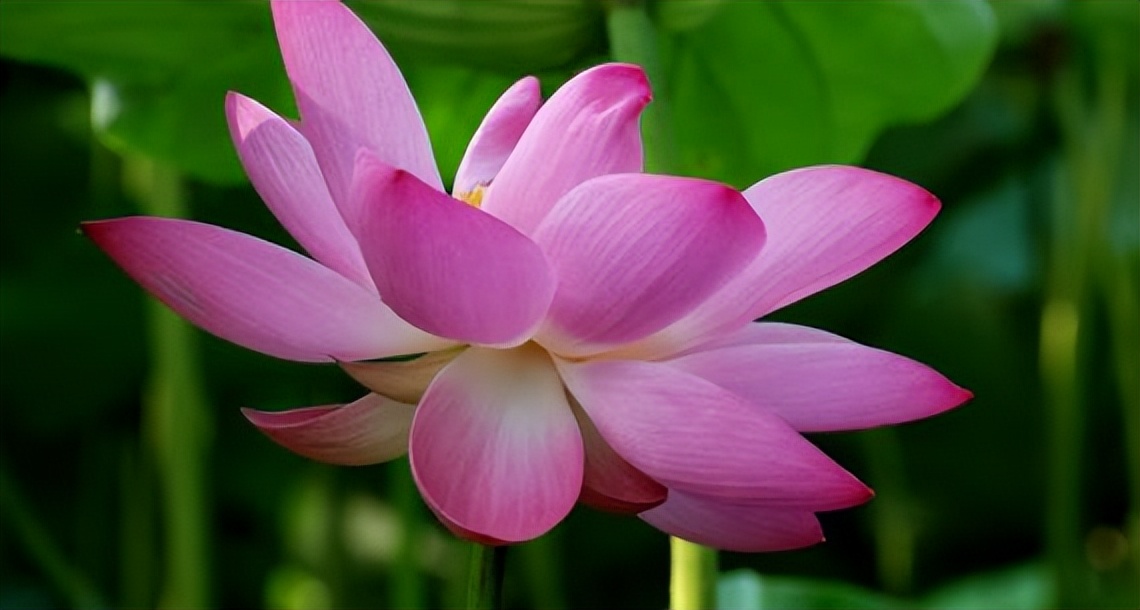 一个人的穷和富是不是命中注定的,一个人贫富差距对比图