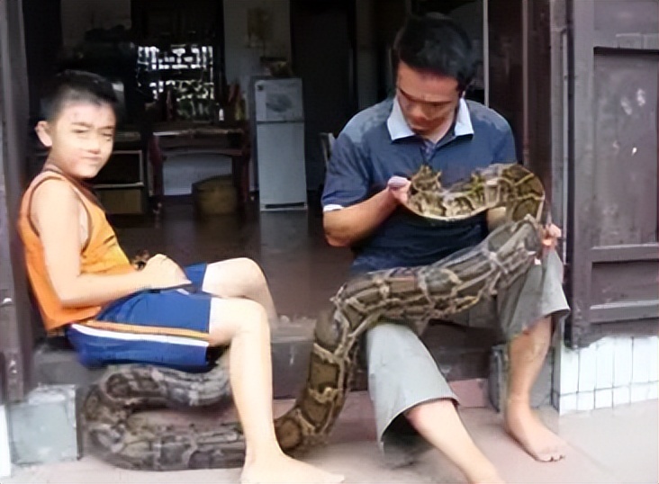 96年海南巨蟒,96年海南巨蟒事件真实情况