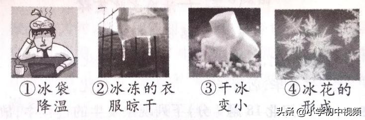 物理中考押题2024山东,2022高三物理押题卷