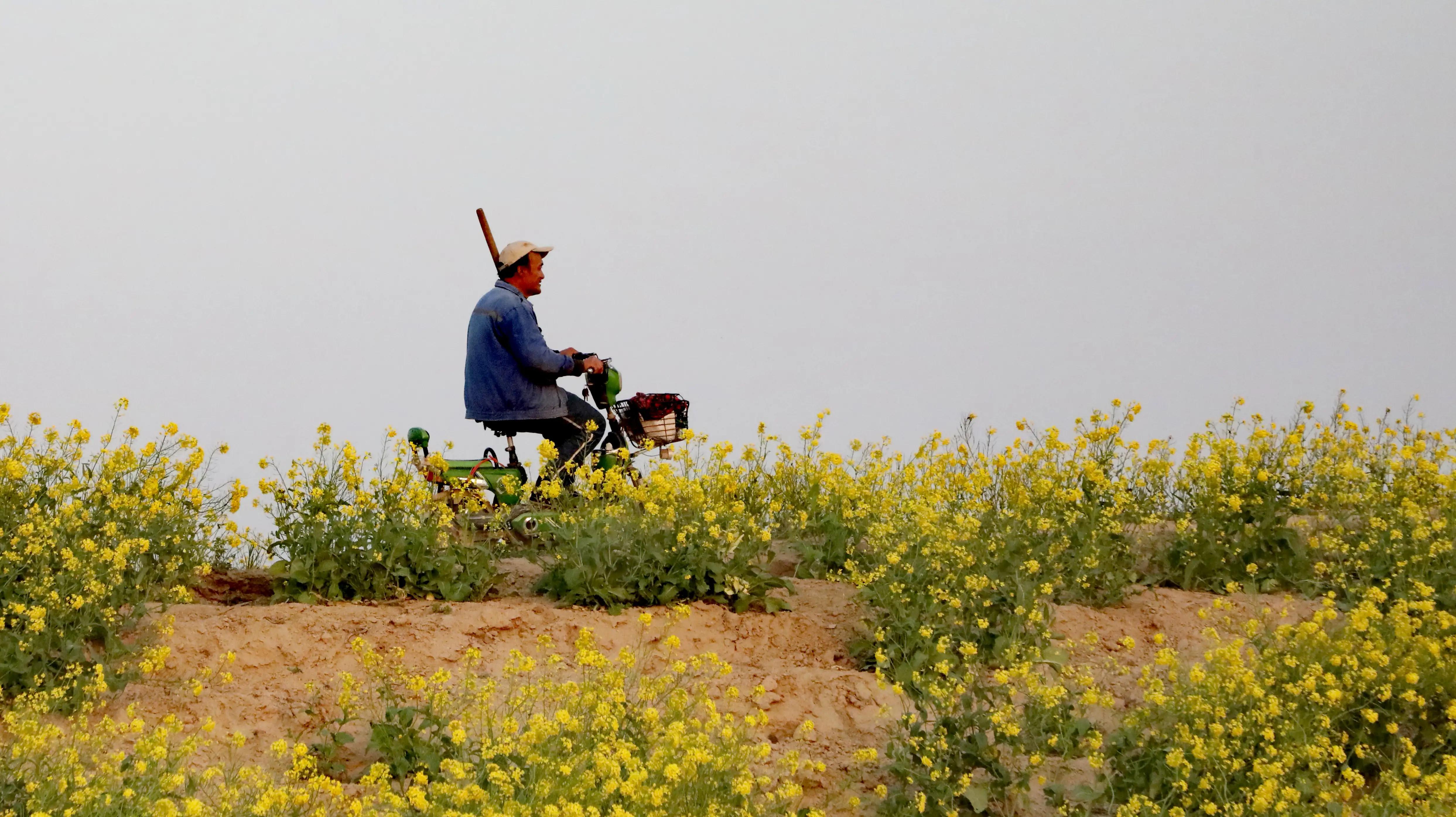 山东曹县为87名无名烈士寻亲找家,曹县孙智敏