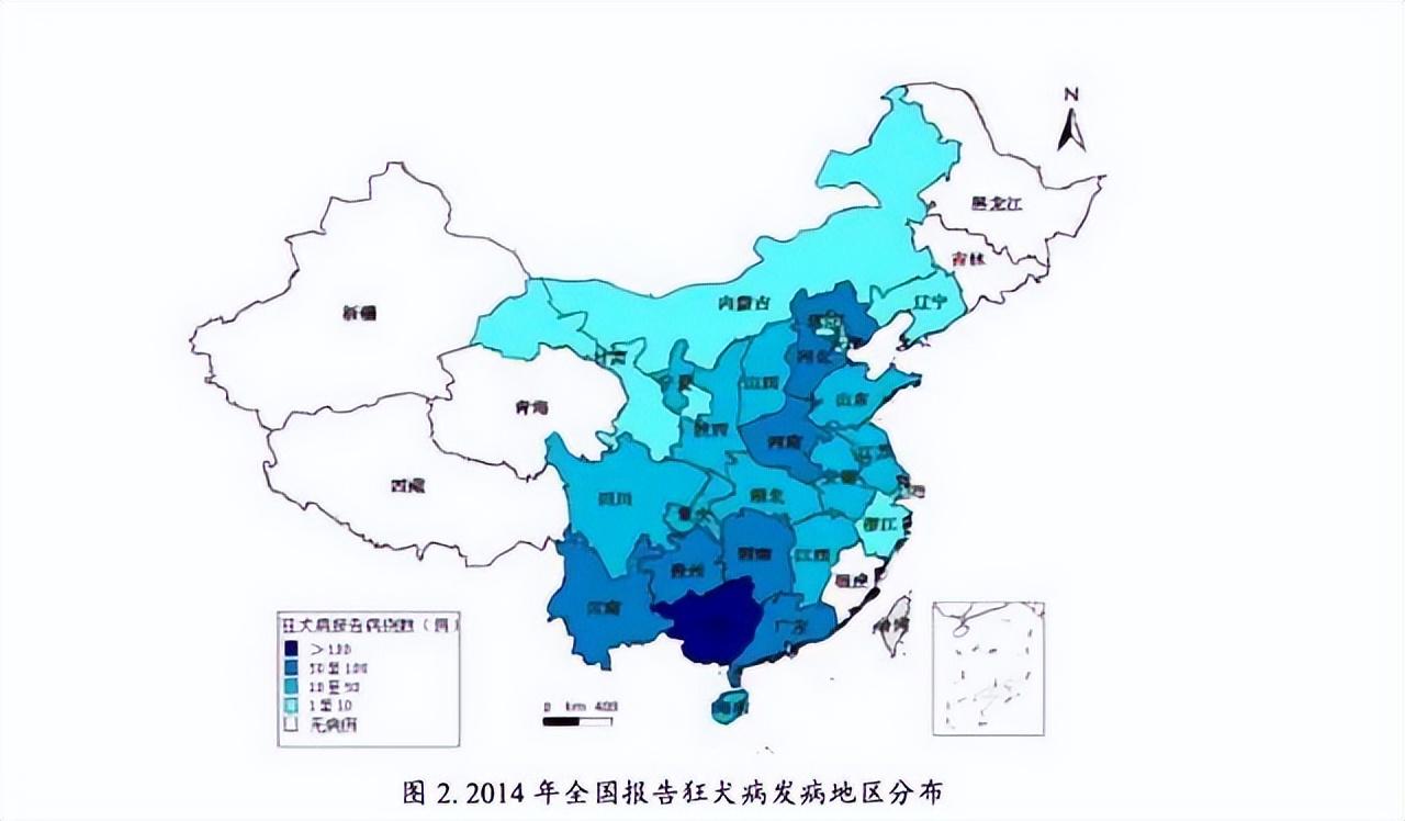 被狗咬到什么程度需要打针视频,被狗咬成什么样需要打狂犬疫苗