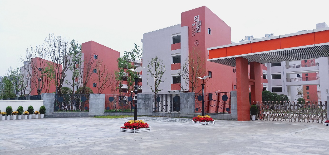 温江花都小学和政通小学哪个好点,温江花都小学和江安学校