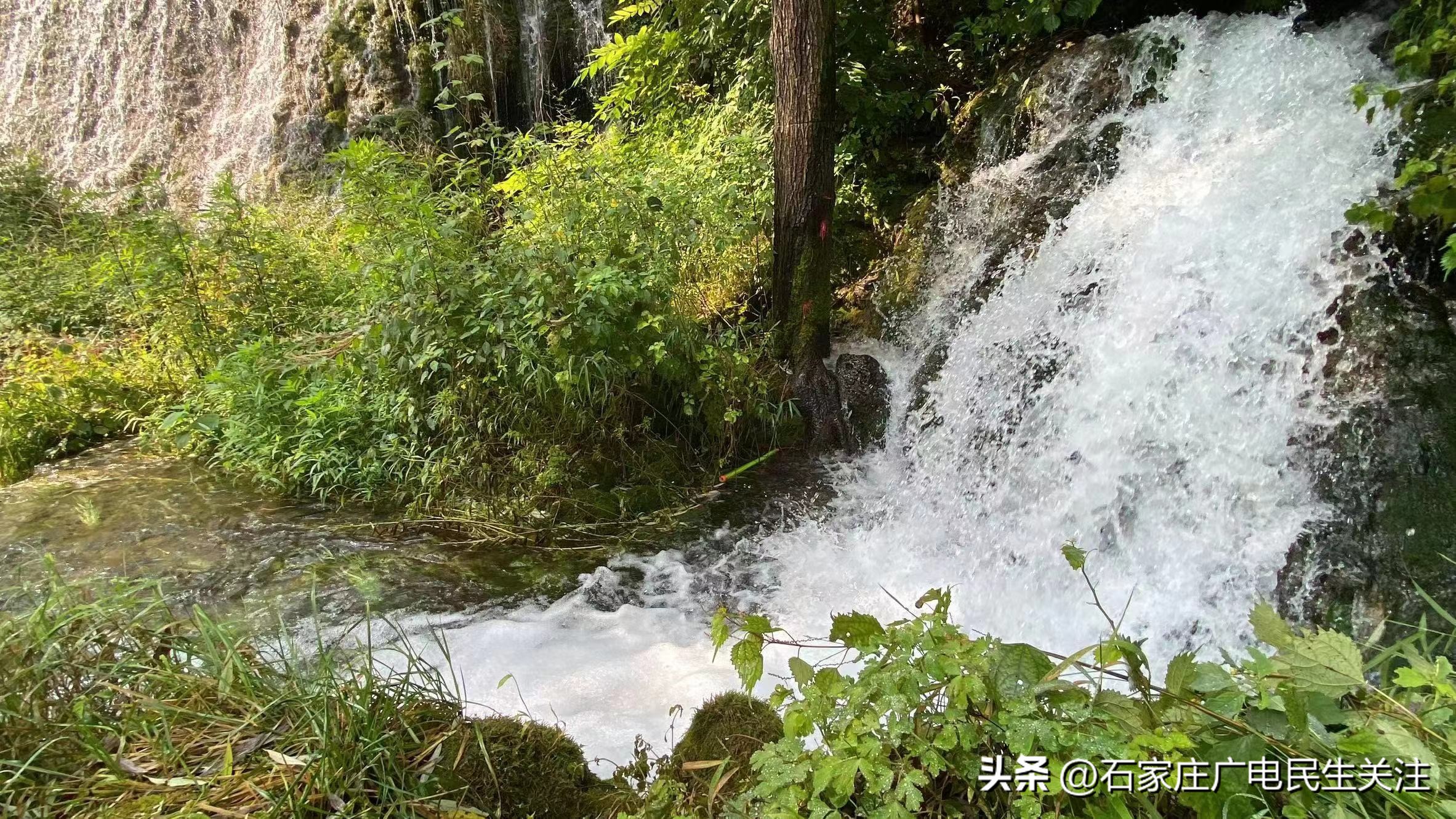 撒欢儿童戏水乐园,撒欢儿部落儿童乐园夏季玩水视频