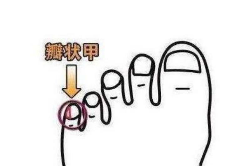 华夏子孙3大特殊印记,华夏儿女的特殊印记