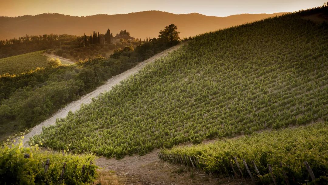 钜惠双11好货提前抢,钜惠双十一强势来袭