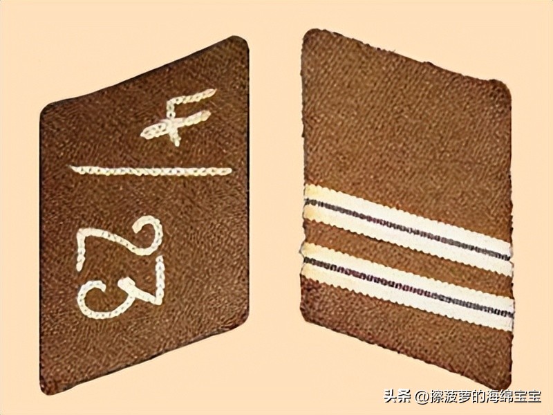 纳粹冲锋队用的什么枪,纳粹德军军衔图解