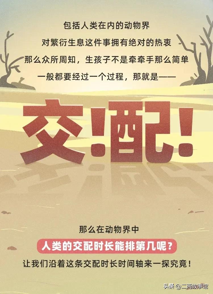 漫画：动物界交配时间轴