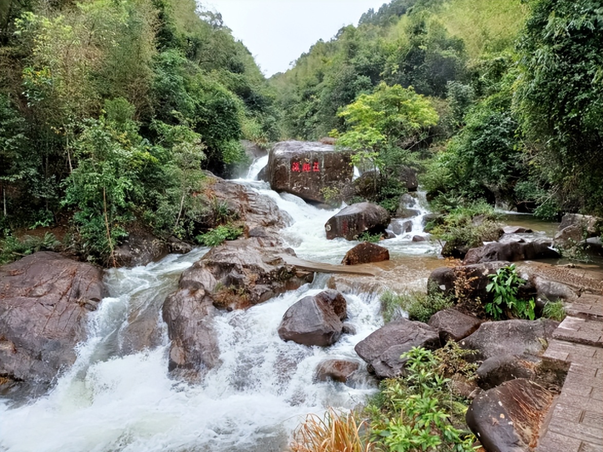 流溪河国家森林公园广州市从化区,广州流溪河国家森林公园拍照