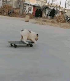 “易孕体质是种什么样的感受？”哇哈哈哈哈太真实了: