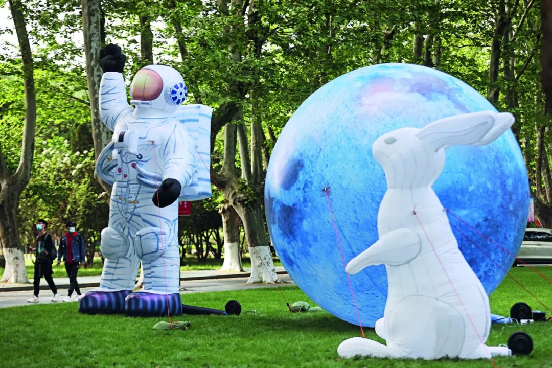 了解十二生肖兔的文化,兔年属兔吉祥话