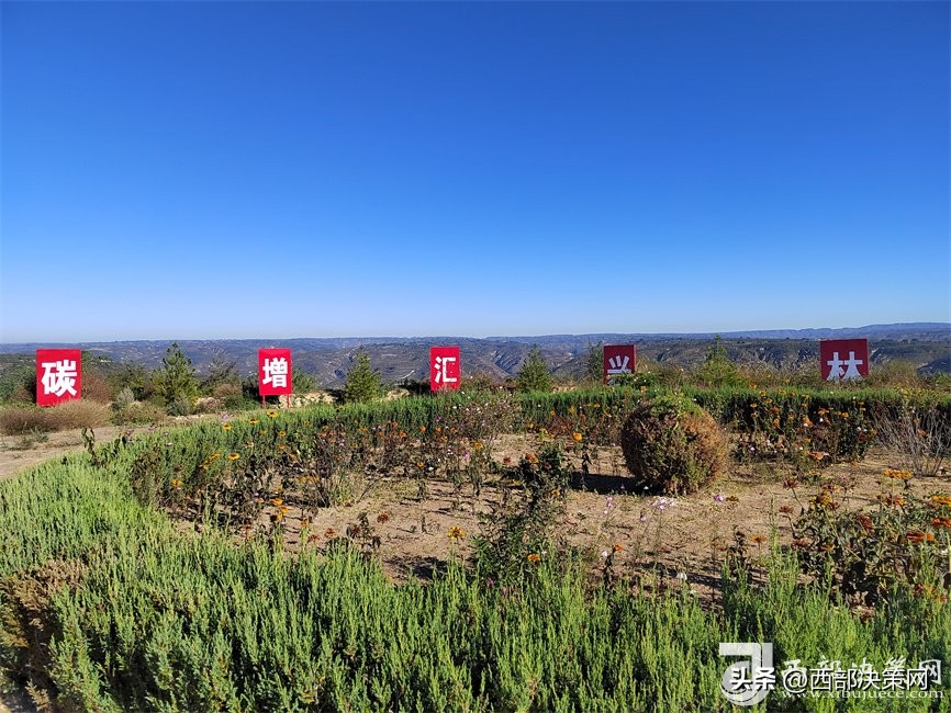 「黄河安澜·津润三秦」延长县储备生态、打造黄河流域生态保护和高质量发展“延长样本”