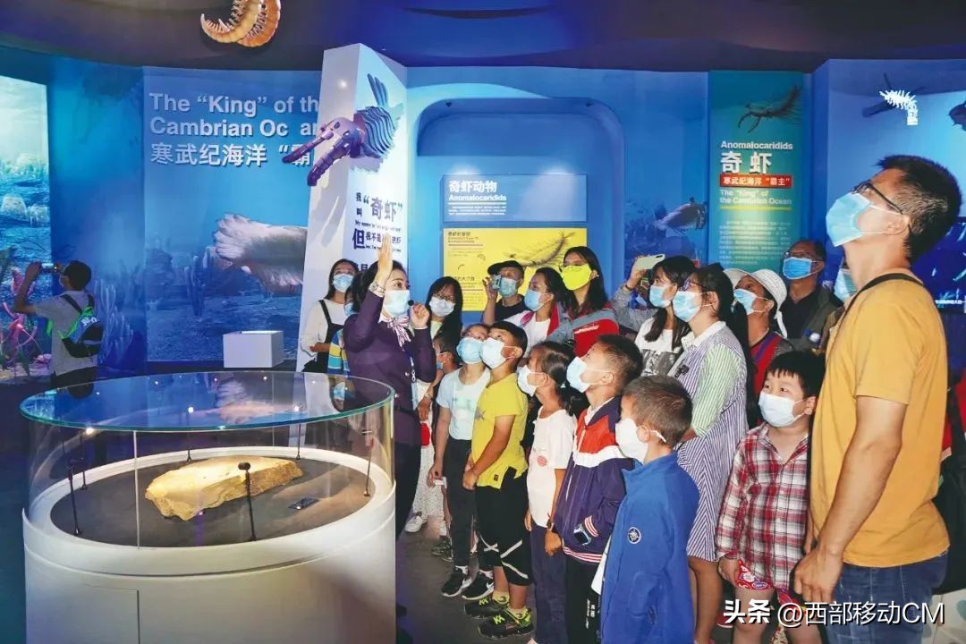 云南玉溪山水旅游景点推荐,澄江旅游攻略一日游最新