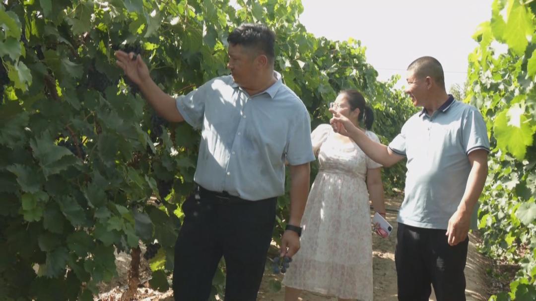 申杰醉打金枝,申杰升再创辉煌