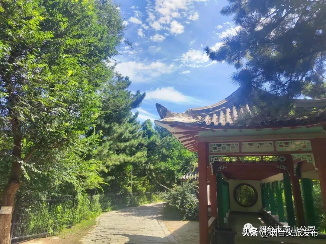 【玩转烟台】秋高气爽的日子里，来南山公园享受一段秋日慢时光