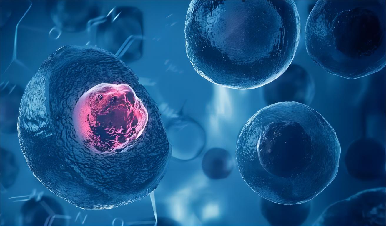 日本人动物胚胎实验长啥样,日本人动物胚胎实验