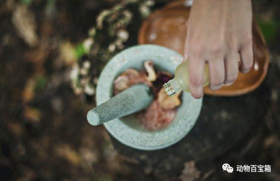 中国地沟油在国外有多厉害,中国的地沟油在国外有多火