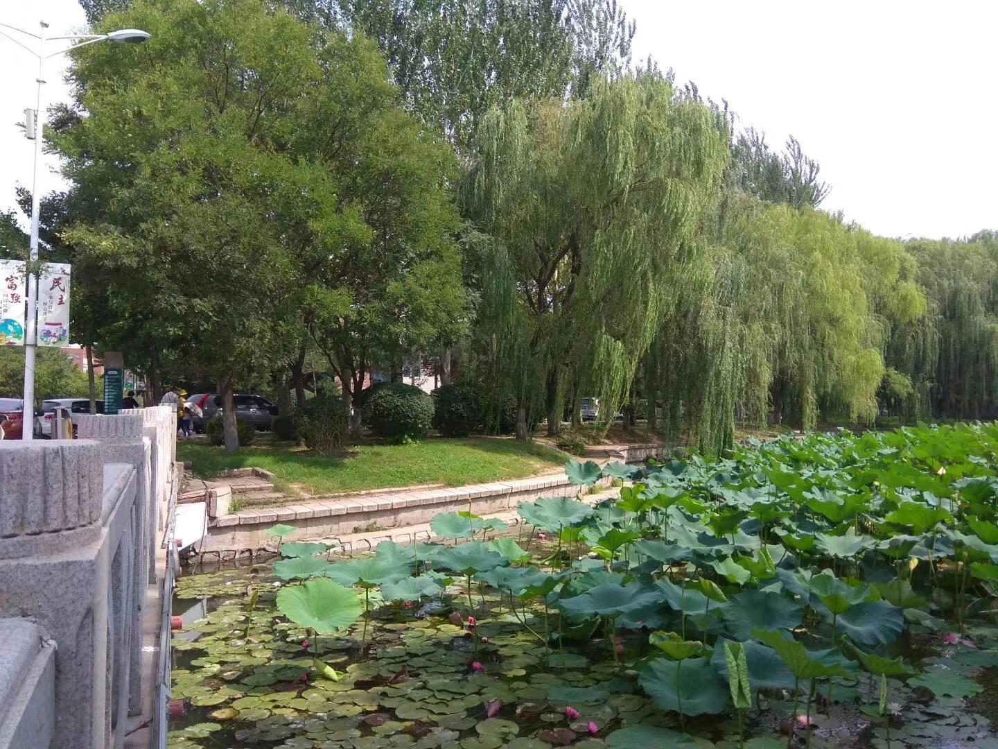 我的母校我的家乡,回母校宣传沈阳师范大学