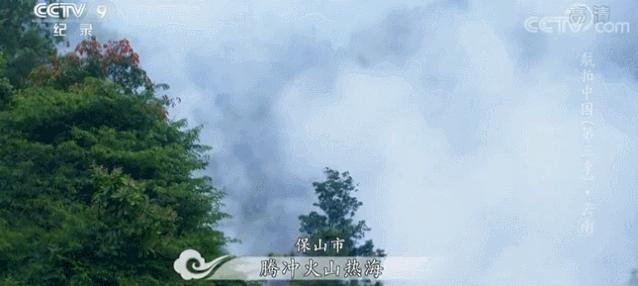 年度最佳22℃暖冬小城!全国唯一半城银杏,半城温泉!现在来刚好