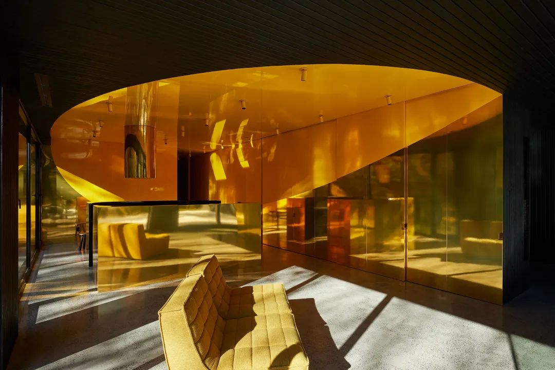 他们把家搬到了森林里，一间森林