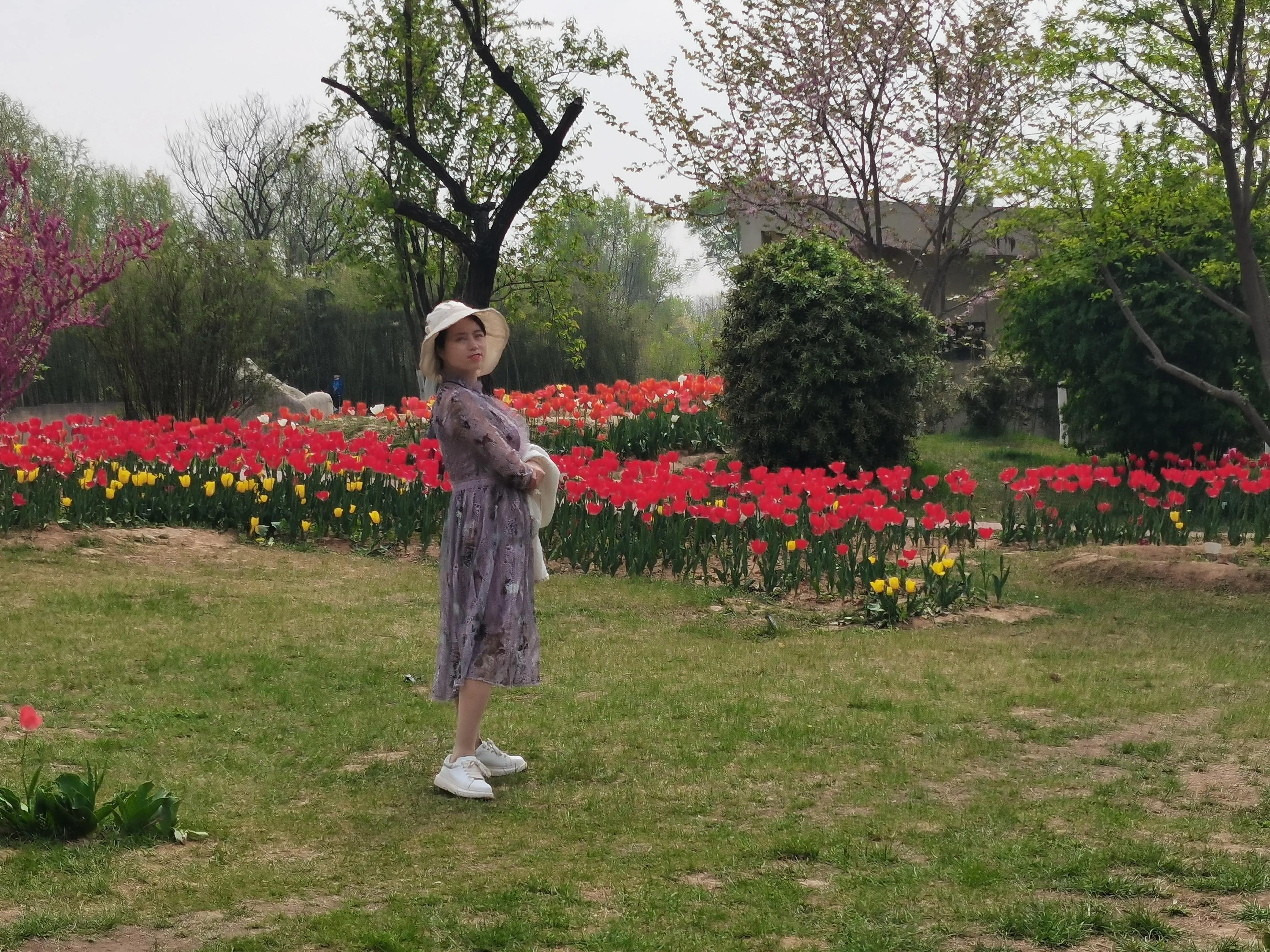 西安植物园春花怒放盛景,西安植物园海棠园