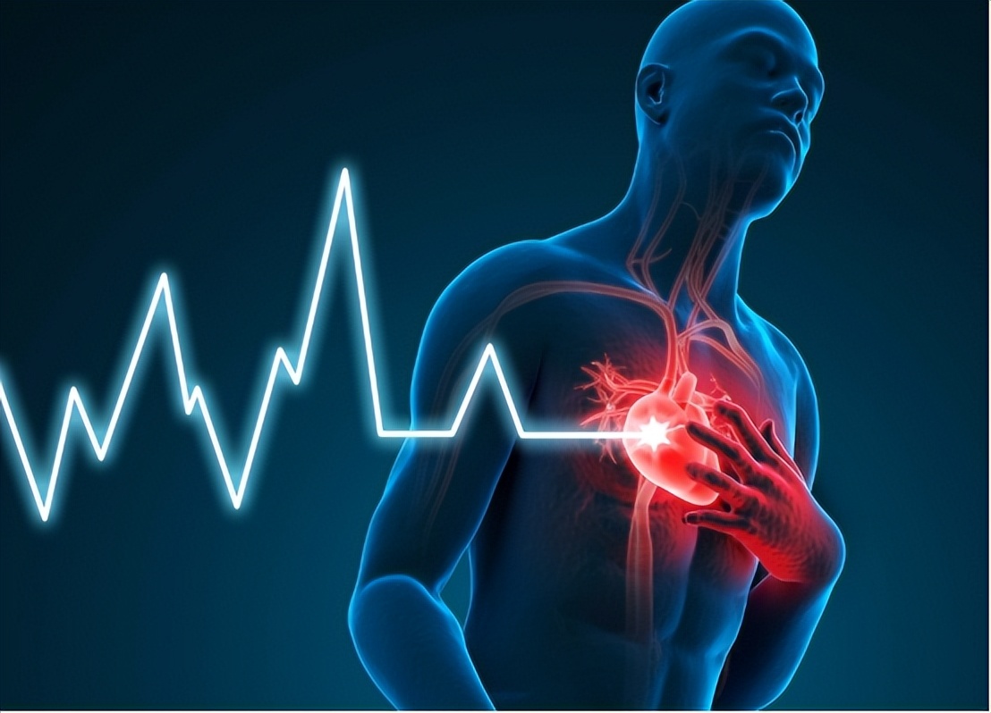 心跳快慢对寿命有影响吗,心跳快慢和寿命对照表